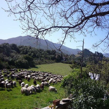 Casta A Camera Di A Vigna المظهر الخارجي الصورة