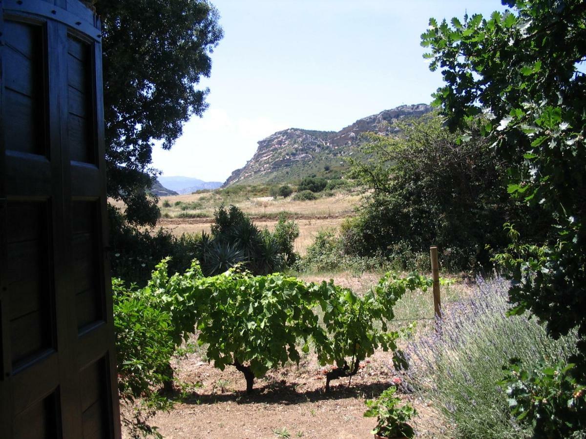 Casta A Camera Di A Vigna المظهر الخارجي الصورة
