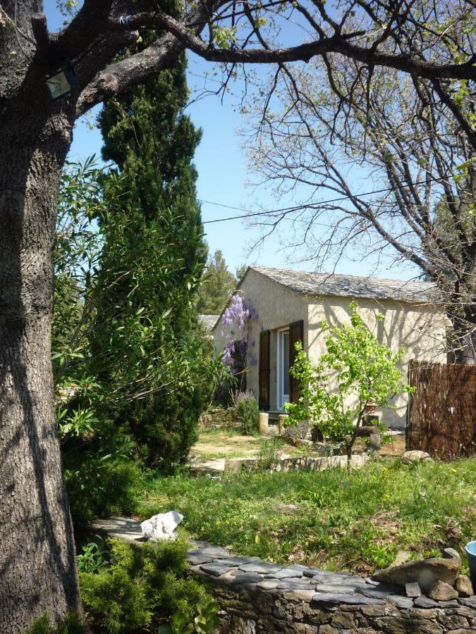 Casta A Camera Di A Vigna المظهر الخارجي الصورة
